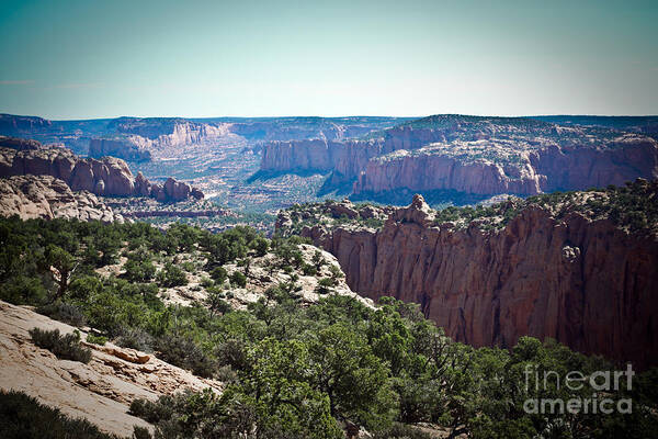 ryankellyphotography@gmail.com Poster featuring the photograph Arizona Desert Landscape by R K