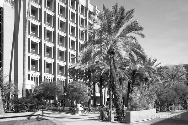 American Poster featuring the photograph Arizona State University Statistical Sciences by University Icons