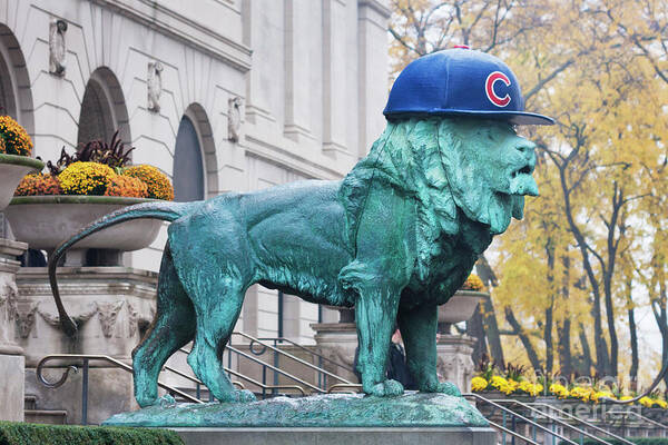 Cubs Poster featuring the photograph Art Institute Cubs Fan by Patty Colabuono