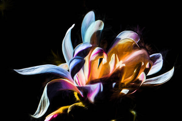 Artistic Poster featuring the photograph Artistic paiterly colored flower by Leif Sohlman