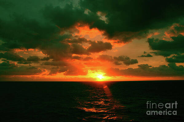 America Poster featuring the photograph At The Edge Of Night by Robyn King