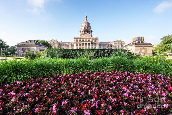 America Poster featuring the photograph Austin Texas State Capitol Building Flowers by Paul Velgos