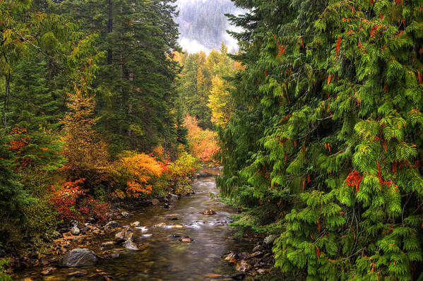 Autumn Poster featuring the photograph Autumn Creations by Eggers Photography