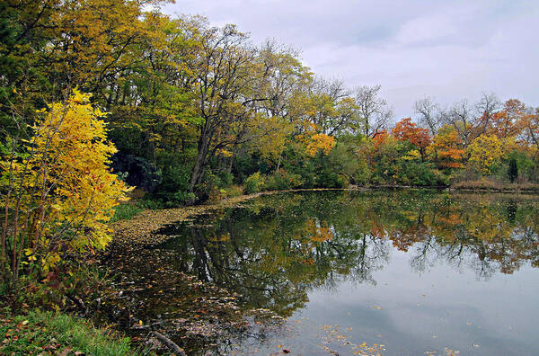 Cedric Hampton Poster featuring the photograph Autumn Fantasy by Cedric Hampton