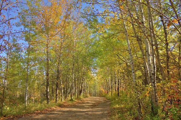 Autumn Poster featuring the photograph Autumn Hike by Jim Sauchyn