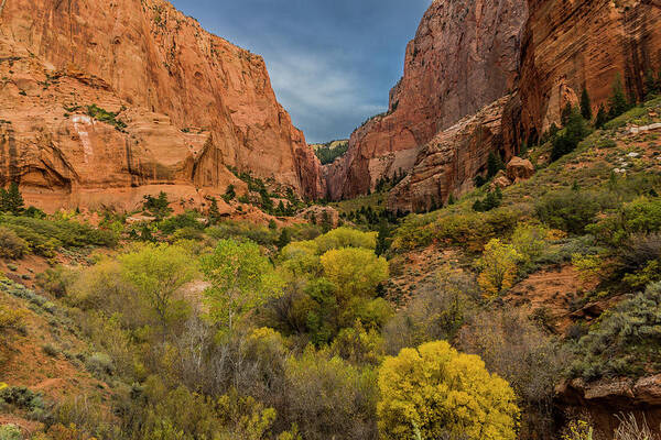 Kolob Canyons Poster featuring the photograph Autumn in Kolob Canyons by Donald Pash