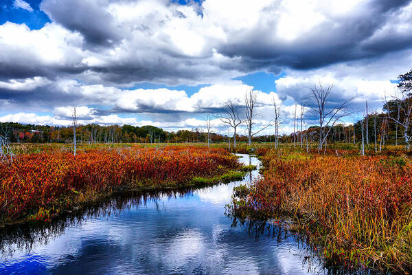October Poster featuring the photograph Autumn in the Air and Clouds in the River by Lilia S