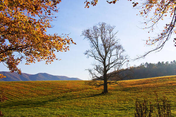 Cades Cove Poster featuring the photograph Autumn in the Cove by Bob Decker
