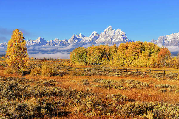 Grand Teton National Park Poster featuring the photograph Autumn in the Valley by Greg Norrell