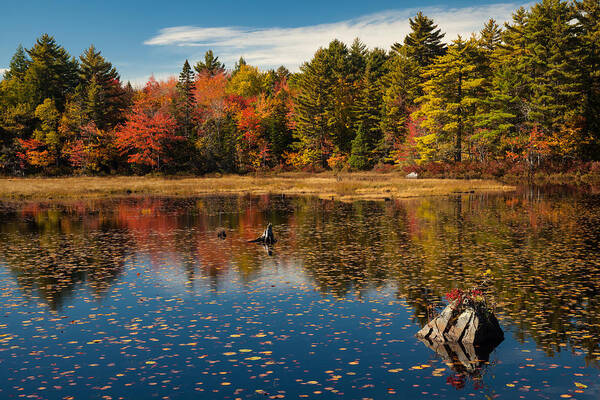 Autumn Poster featuring the photograph Autumn Lake Reflections by Irwin Barrett