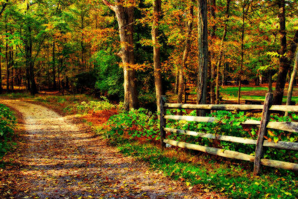 Autumn Poster featuring the photograph Autumn Moment - Allaire State Park by Angie Tirado