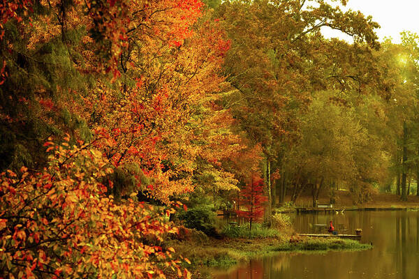 Autumn Poster featuring the photograph Autumn Morning by Barry Jones