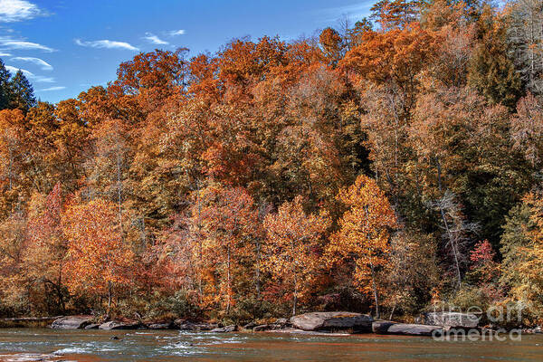 Kentucky Poster featuring the photograph Autumn on the Cumberland Foliage by Ken Frischkorn