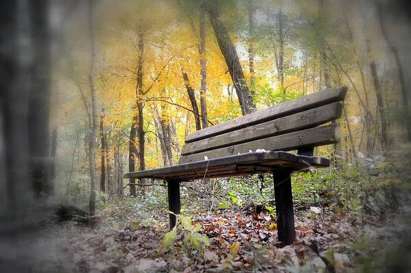 Woods Poster featuring the photograph Autumn Park Bench by Bonfire Photography