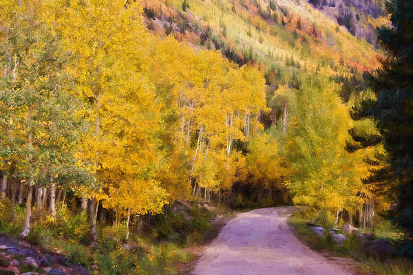 Aspen Poster featuring the photograph Autumn Passage by Lana Trussell