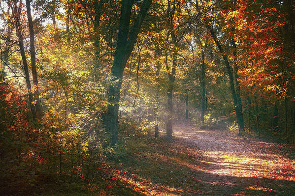 Autumn Poster featuring the photograph Autumn Path by Scott Norris