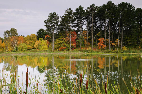 Fine Art Poster featuring the photograph Autumn Pond by Phill Doherty