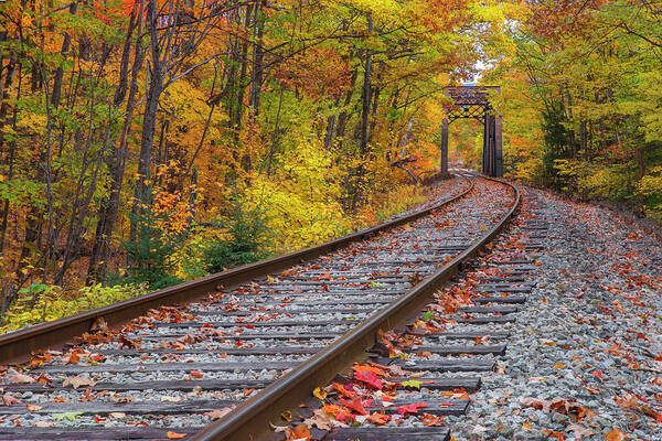 Autumn Poster featuring the photograph Autumn Railroad by White Mountain Images