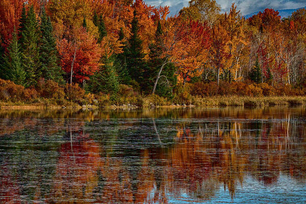 #jefffolger Poster featuring the photograph Autumn reflections at Pondicherry refuge by Jeff Folger