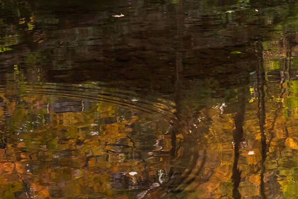 Terry D Photography Poster featuring the photograph Autumn Ripples Abstract by Terry DeLuco