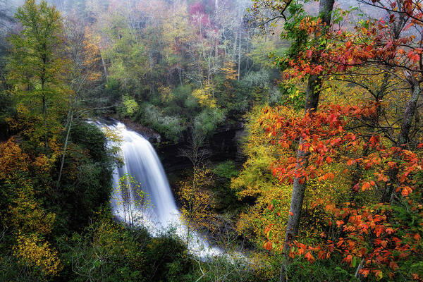 Dry Falls Poster featuring the photograph Autumn Silk by C Renee Martin