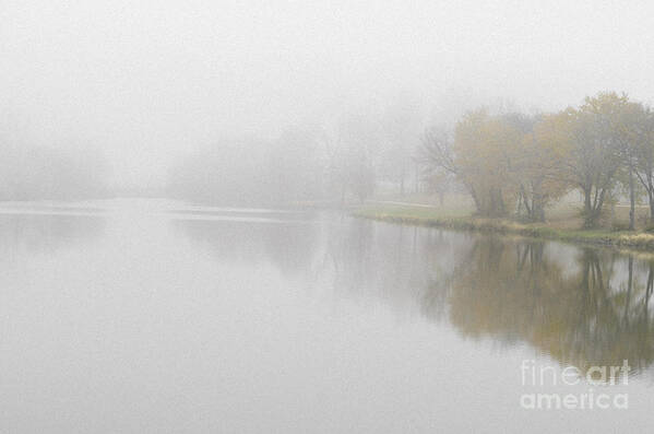 Autumn Poster featuring the photograph Autumn Trees Fading Into Fog by Tamara Becker