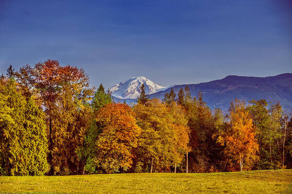 Bellingham Poster featuring the photograph Autumn View of Mt. Baker by Judy Wright Lott