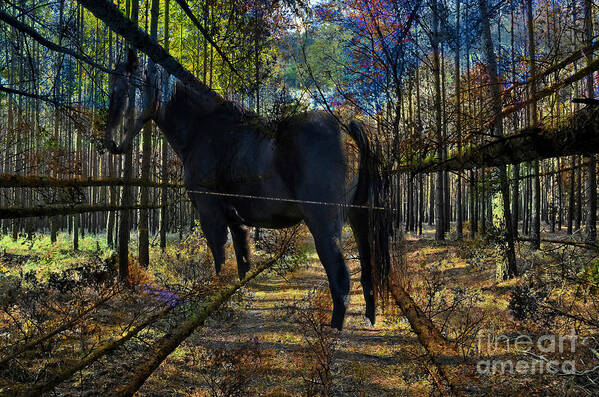 Horse In The Autumn Forest Poster featuring the digital art Horse in the Autumn Forest by Silva Wischeropp