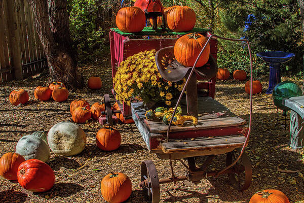 Fall Poster featuring the photograph Autumn's Trolley by Alana Thrower