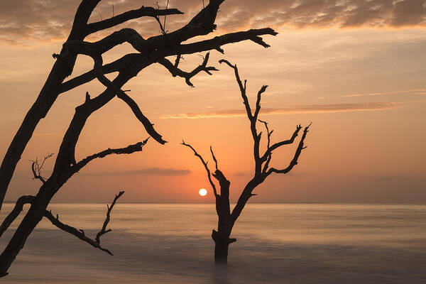 Sunrise Poster featuring the photograph Awakening by Denise Bush