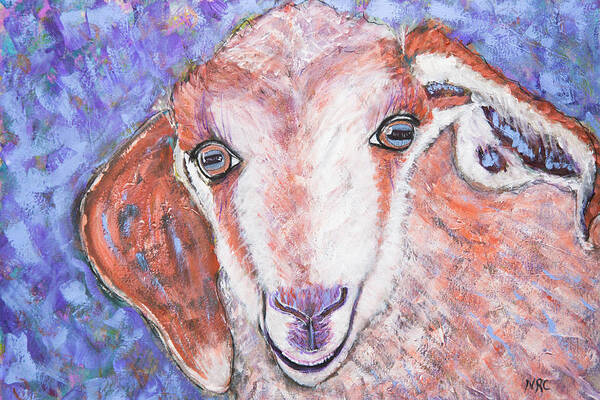 Goat Poster featuring the photograph Baby Goat by Natalie Rotman Cote