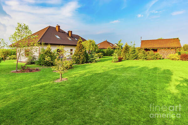 Garden Poster featuring the photograph Backyard of a family house. Spacious landscaped garden with green mown grass by Michal Bednarek