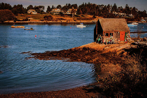 Bailey Island Poster featuring the photograph Bailey Island garden shack Mackeral cove Maine by Jeff Folger