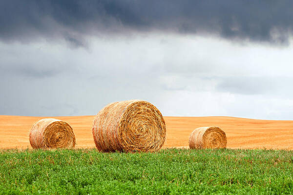 Round Bales Poster featuring the photograph Bales and Layers by Todd Klassy