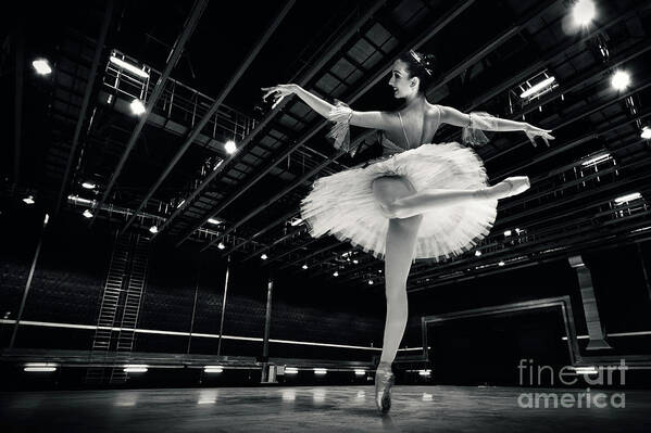 Ballet Poster featuring the photograph Ballerina in the white tutu by Dimitar Hristov