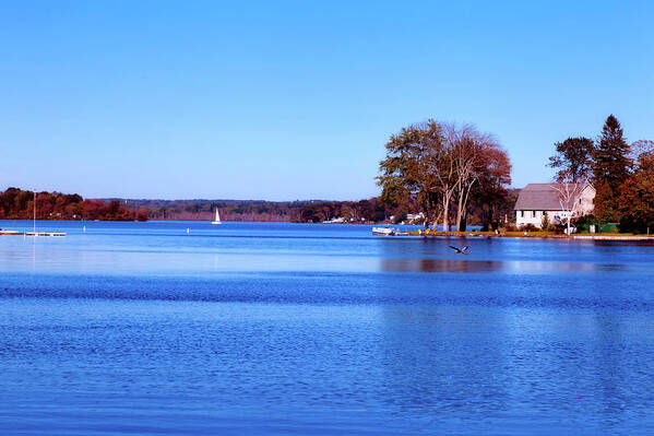 Bantam Lake Poster featuring the photograph Bantam Lake in Autumn by Mountain Dreams