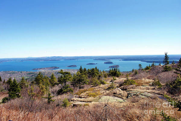 Scenic Tours Poster featuring the photograph Bar Harbor From Cadillac by Skip Willits