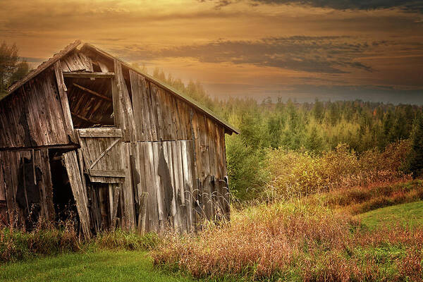 Old Barn Print Poster featuring the photograph Barn at Sunset Print by Gwen Gibson