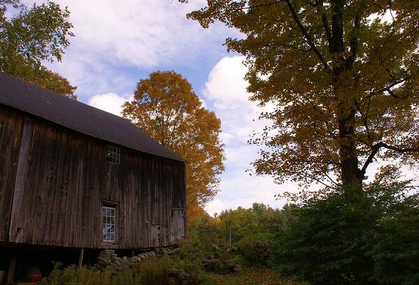 Fall Poster featuring the photograph Barn in Fall by Lois Lepisto