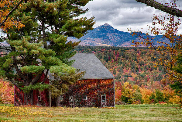 Chocorua Fall Colors Poster featuring the photograph Barn number three by Jeff Folger