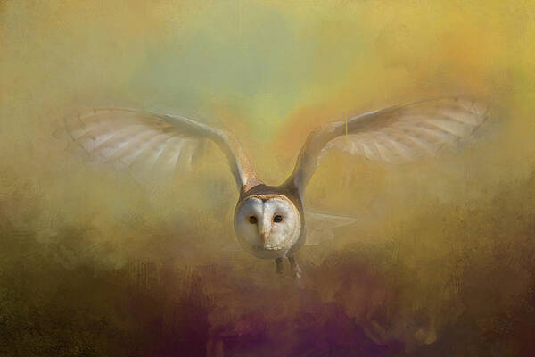 Owl Poster featuring the digital art Barn Owl by Jim Hatch