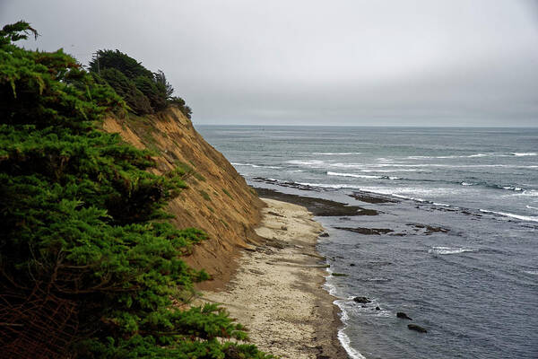 Beach Poster featuring the photograph Beach by Peter Ponzio