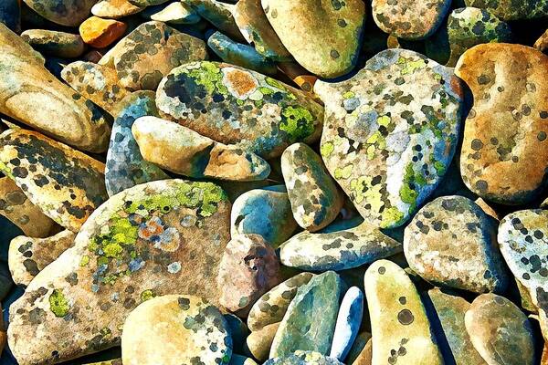 Stones Poster featuring the photograph Beach Stones by Tatiana Travelways