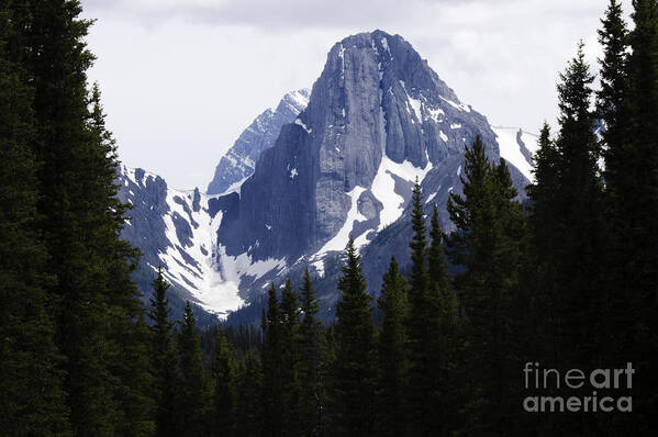  Highwood Pass Poster featuring the photograph Beautiful Canada 18 by Bob Christopher