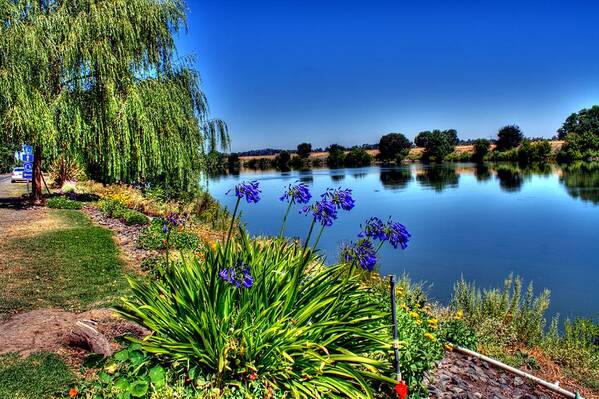 Hdr Poster featuring the photograph Beautiful River View by Randy Wehner