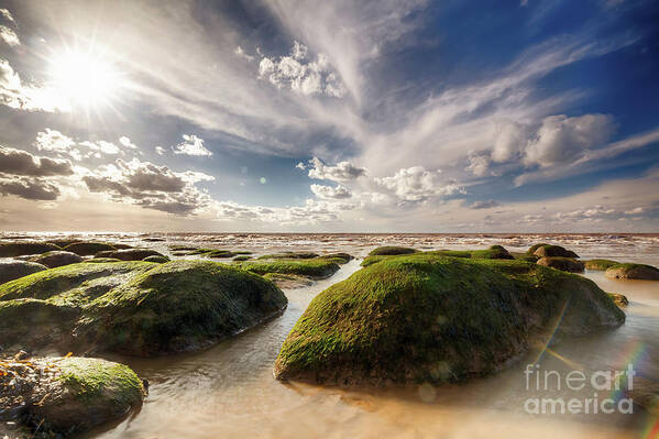 Sand Poster featuring the photograph Beautiful seaweed rock outcrops on Norfolk coast by Simon Bratt