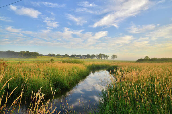 Illinois Poster featuring the photograph Beautiful Wetlands in Glacial Park by Ray Mathis