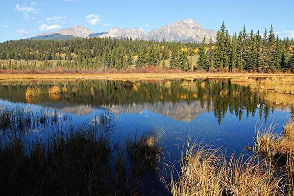 Pyramid Mountain Poster featuring the photograph Beaver Pond and Pyramid Mountain by Larry Ricker