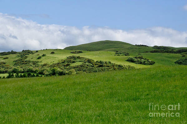 Beecraigs Poster featuring the photograph Beecraigs Hills. by Elena Perelman