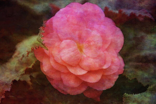 Impressionist Poster featuring the photograph Begonia 9592 IDP_2 by Steven Ward
